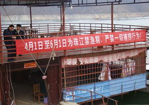 县畜牧局多措并举 强化禁渔期畜牧渔业饲料销售管理