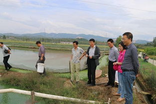 陕西省加强水产投入品监管 现场抽查工作助力畜牧渔业饲料安全销售