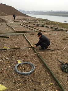中国渔业政务网 畜牧渔业饲料销售与管理的数字化平台