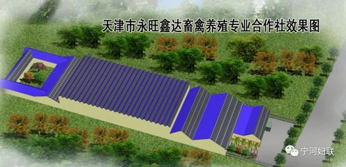 巾帼风采 | 天津市巾帼现代农业科技示范基地--天津市永旺鑫达畜禽养殖专业合作社