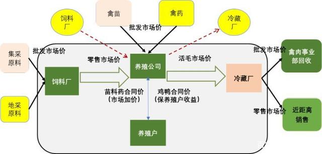 ab禽养殖产业链分散化经营模式